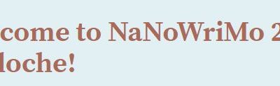 Les cinq bonnes raisons de ne pas participer au défi d’écriture du NaNo 2022 !