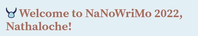 Les cinq bonnes raisons de ne pas participer au défi d’écriture du NaNo 2022 !