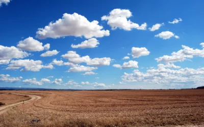 Un numérique plus écologique grâce au Cloud : mythe ou réalité ?