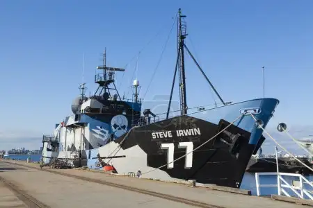 Bateau Sea Shepherd